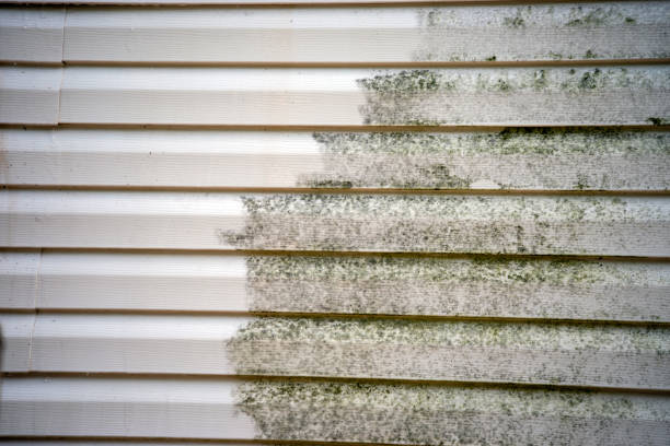 Best Dumpster Rental Services  in , WA