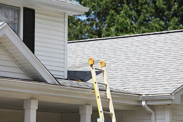 Best Demolition Debris Removal  in , WA
