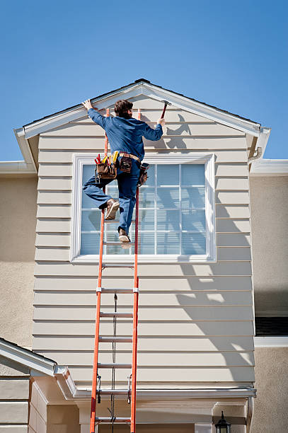 Best Shed Removal  in , WA